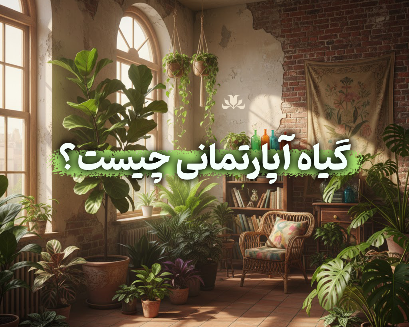 عکسی از فضای آپارتمان با انواع مختلف گیاهان آپارتمانی