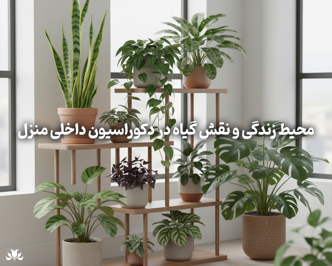 نقش گیاه در دکوراسیون داخلی منزل
