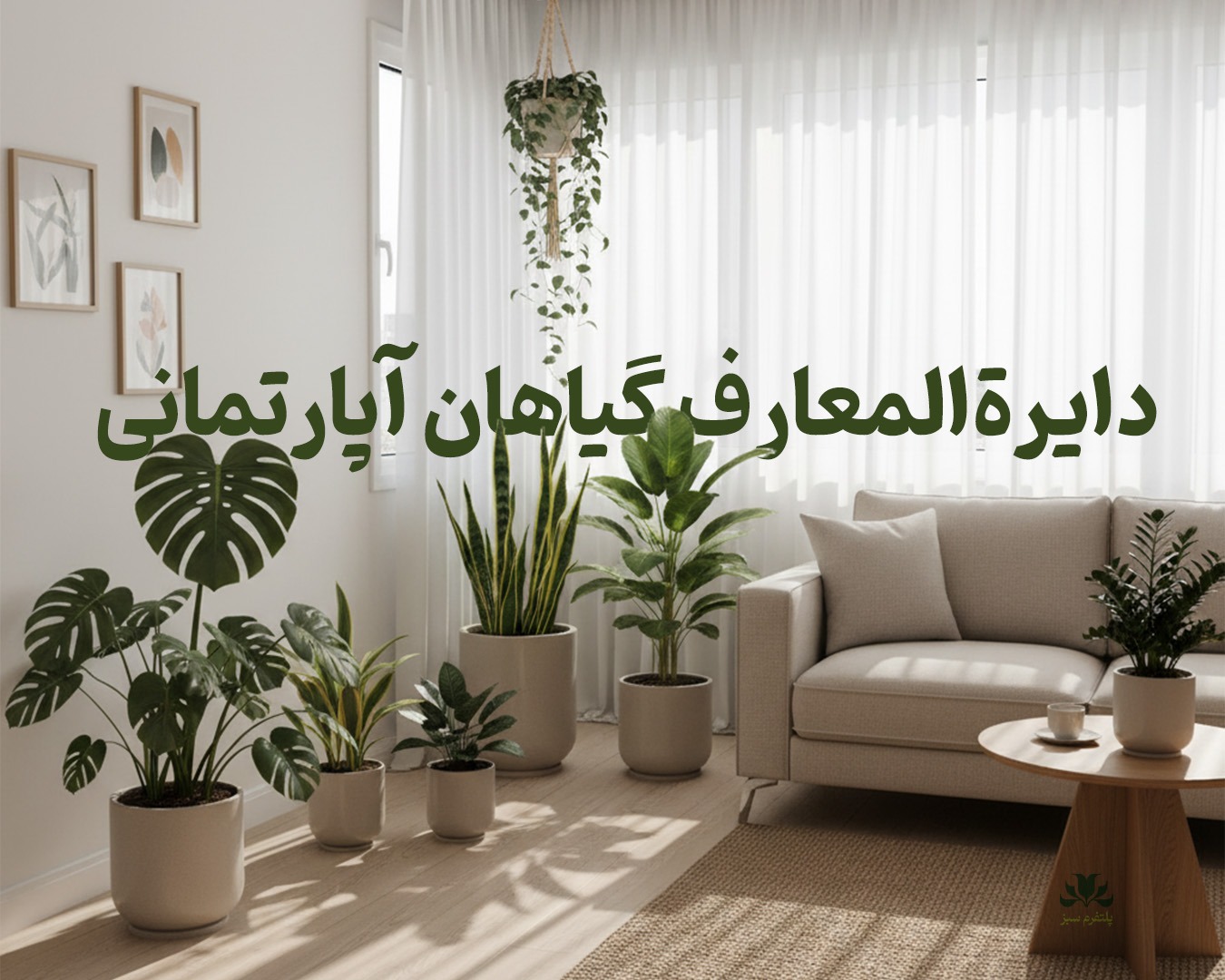 پلتفرم سبز مرجع کامل شناخت و نگهداری گیاهان آپارتمانی. از انتخاب بر اساس نور و فضا تا عیب‌یابی مشکلات برگ‌ها و نکات نگهداری حرفه‌ای.