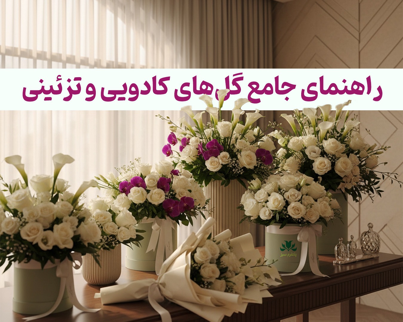 راهنمای جامع گل‌های کادویی و تزئینی و انتخاب، رنگ و معنا
