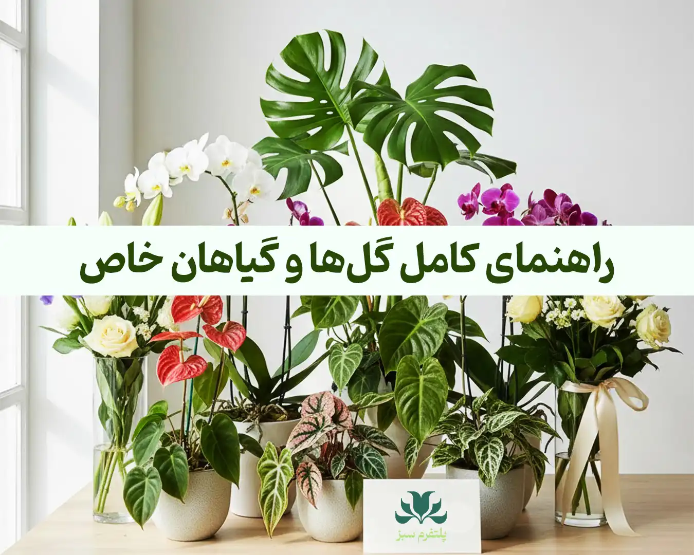 راهنمای کامل گل‌ها و گیاهان خاص