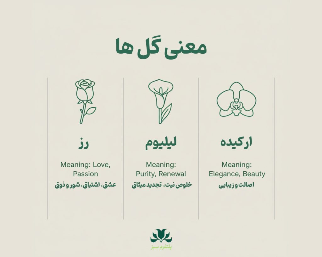 معنی و روانشناسی گل ها