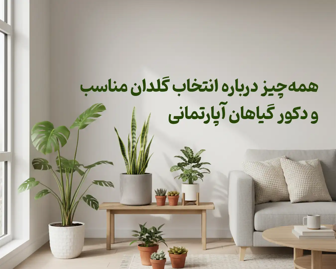 همه‌چیز درباره انتخاب گلدان مناسب و دکوراسیون گیاهان آپارتمانی