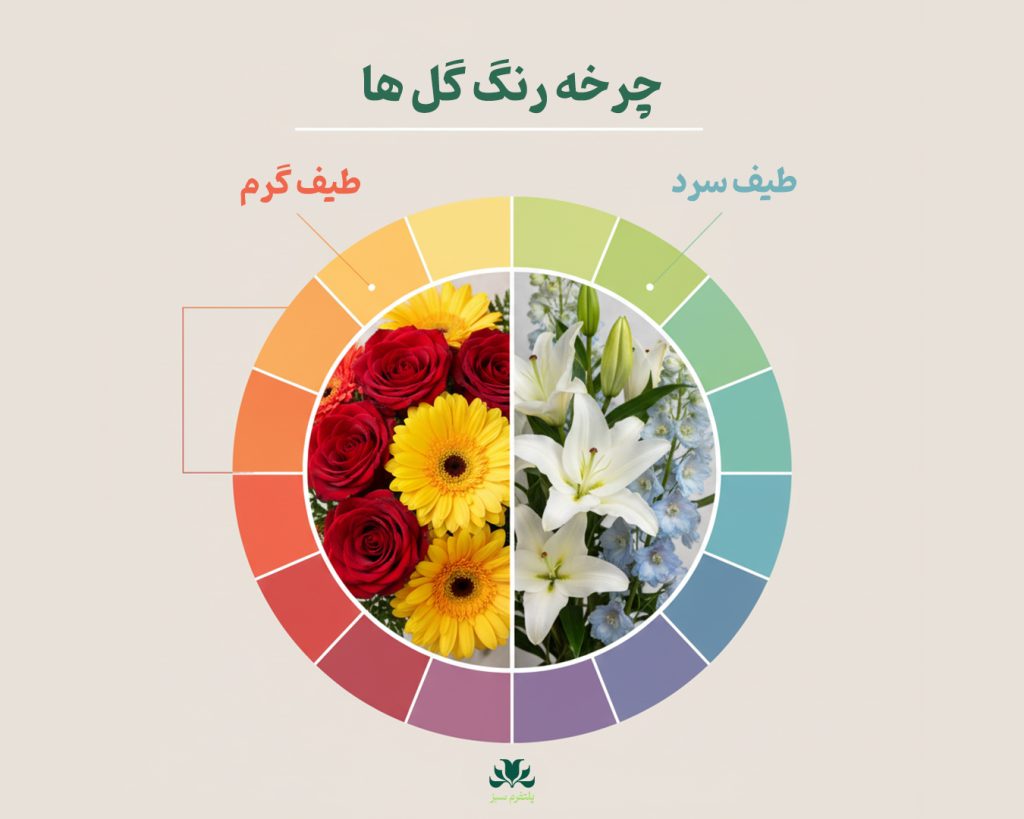 چرخه معنی رنگ گل ها