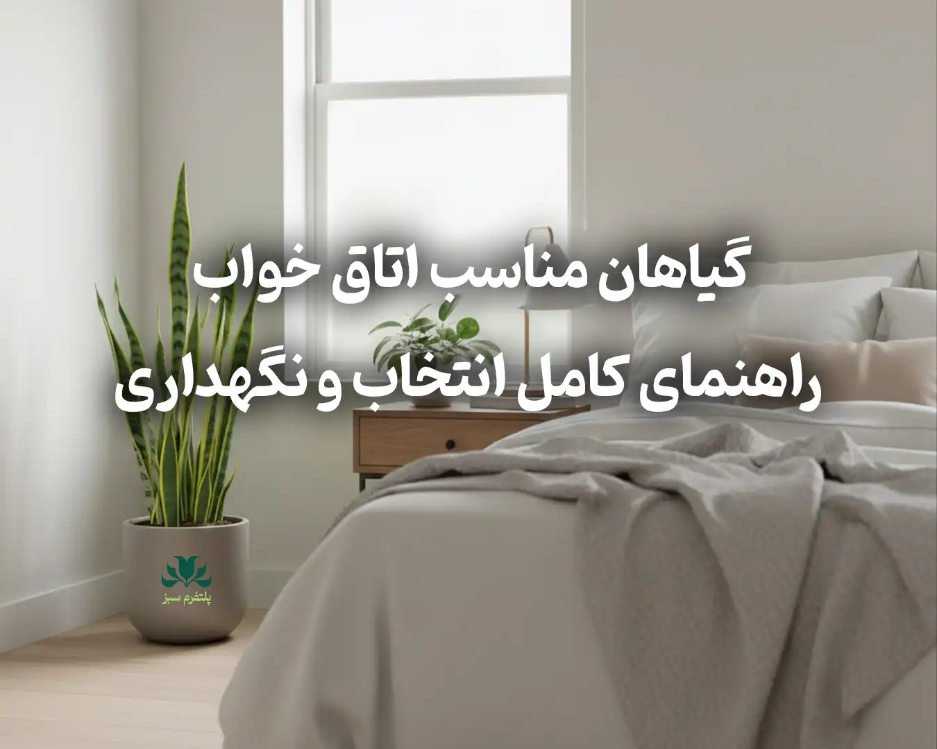 گیاهان مناسب اتاق خواب راهنمای کامل انتخاب و نگهداری