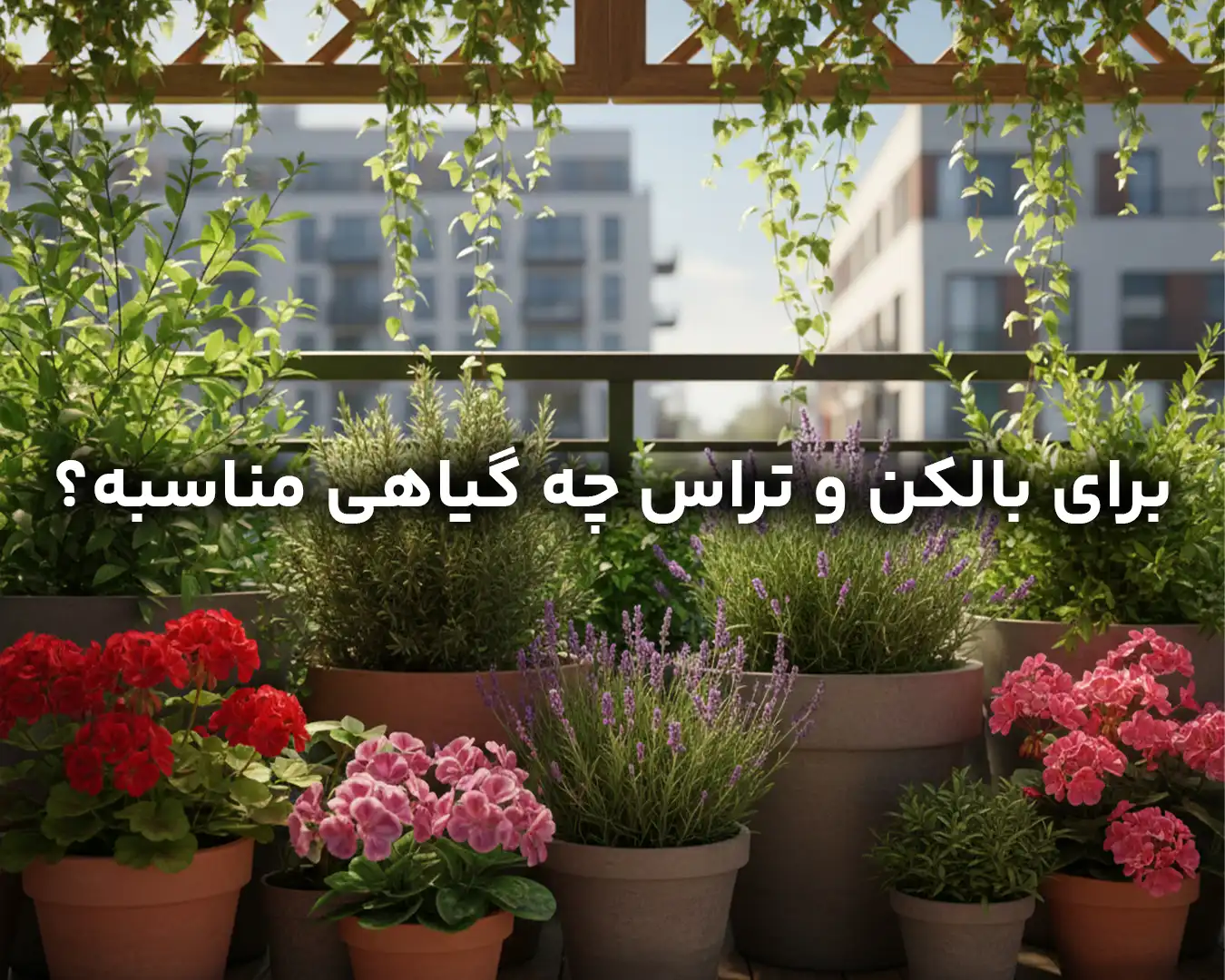 بهترین گیاهان برای بالکن و تراس