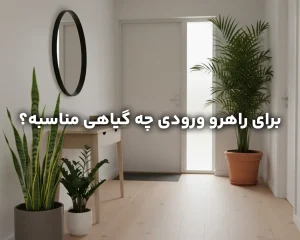گیاهان مناسب راهرو و ورودی خانه