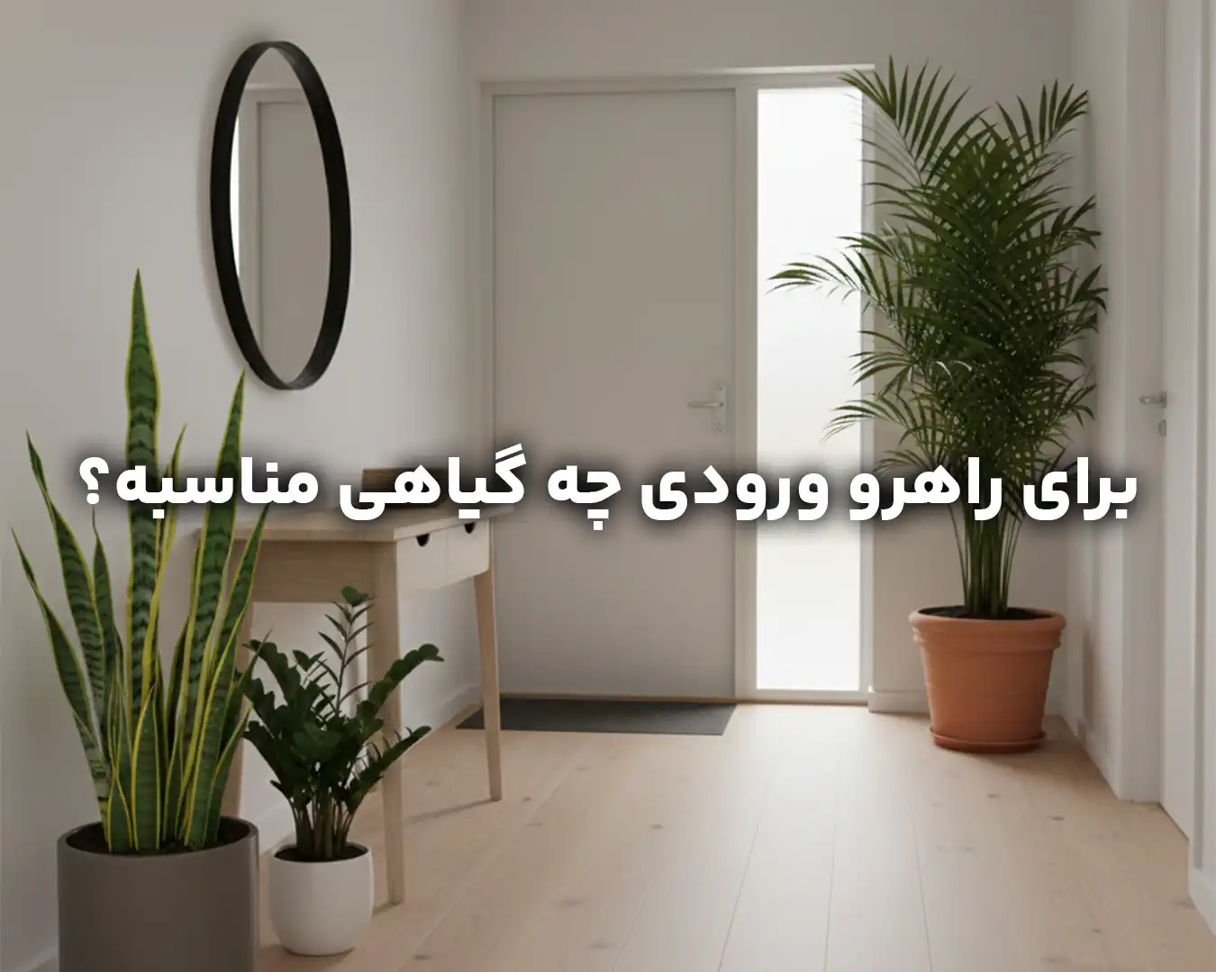 گیاهان مناسب راهرو و ورودی خانه