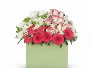 خرید باکس گل رز، ژیپسوفیلیا، آنتوریوم، داوودی